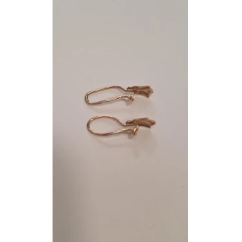 Cercei Din Aur Proba 585* 0.94 gr