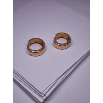 Cercei Din Aur Proba 585* 2.82 Gr