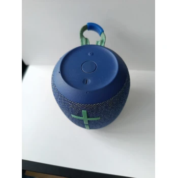 Wonderboom2