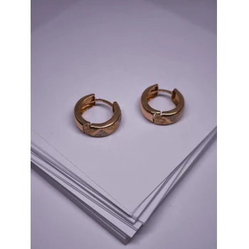 Cercei Din Aur Proba 585* 2.82 Gr