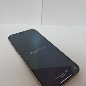 Telefon Apple iPhone 16 Pro Max 256 GB Gold