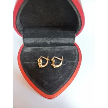 Cercei din aur proba 585 2.48 gr