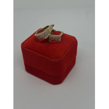 Cerceii din Aur Proba  585* 3.46 gr
