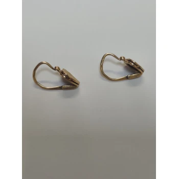 Cercei Din Aur Proba 585* 2.93 gr
