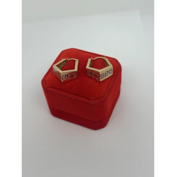 Cerceii din Aur Proba  585* 3.46 gr