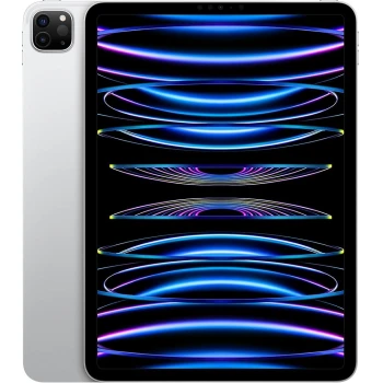 Apple iPad Pro A2836 256 GB
