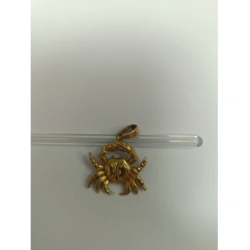 Pandativ Din Aur Proba 585 5.03 gr