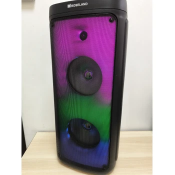 Boxa BoomBox Roseland RS-120