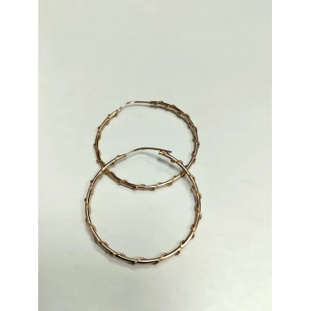 Cercei din aur Proba 585 3.18 gr