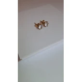 Cercei Din Aur Proba 585* 2.76 gr