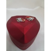 Cercei din Aur Proba 585* 2.30 gr