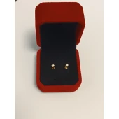 Cercei Din Aur Proba 585* 1.13 gr