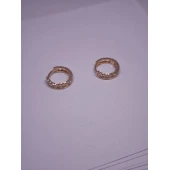 Cercei Din Aur Proba 585* 1.10 gr