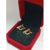 Cercei Din Aur Proba 585* 2,92 gr