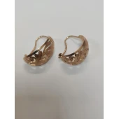 Cercei Din Aur Proba 585* 4.04 gr