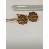 Cercei Din Aur Proba 585* 2.62 gr