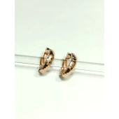 Cercei Din Aur Proba 585* 1.44 gr