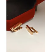 Cercei Din Aur Proba 585* 2,92 gr