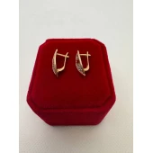 Cercei Din Aur Proba 585* 2.82 Gr
