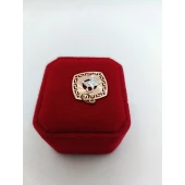 Pandativ Din Aur Proba 585* 1.22 gr