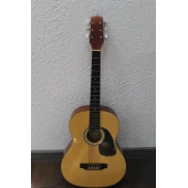 Chitara Hora Reghin  Standart M
