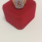 Ghiul Din Aur 585* 15.83 gr