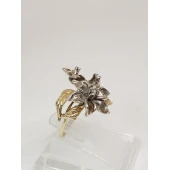 Inel Din Aur Proba 585* 5.14gr.