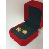 Cercei Din Aur Proba 750* 2,17 gr