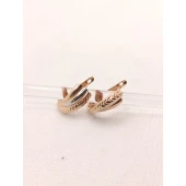 Cercei Din Aur Proba 585* 1.96 Gr