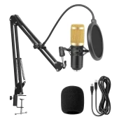 microfon profesional condenser