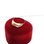 Ghiul Din Aur Proba 585* 1.7 gr