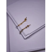 Cercei Din Aur Proba 750* 0.96 Gr