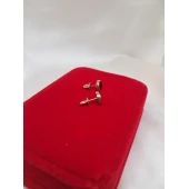 Cercei Din Aur Proba 585* 2.77 gr