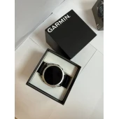 Ceas Inteligent Garmin Fenix E