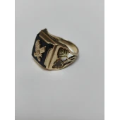 Ghiul Din Aur Proba 375* 7.07 gr