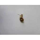 Cercei Din Aur Proba 750* 5,18 Gr