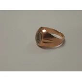 Ghiul din Aur Proba 583* 2.31 gr