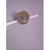 Ghiul Din Aur Proba 585* 3,54 gr