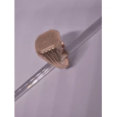 Ghiul Din Aur Proba 585* 3,54 gr