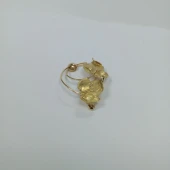 Broșa proba 750 masa 4.27