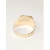 Ghiul Din Aur Proba 585* 2.88 gr