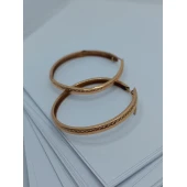 Cercei Din Aur Proba 585 3.24gr