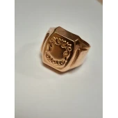 Ghiul Din Aur Proba 585 11,90 gr