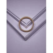 Verigheta Din Aur Proba 750* 6.90 Gr