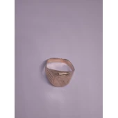 Ghiul Din Aur Proba 585* 3,54 gr