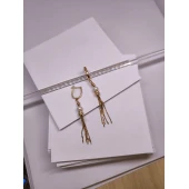 Cercei Din Aur Proba 585* 3.11 Gr