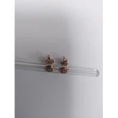 Cercei Din Aur Proba 585*  0.90 gr