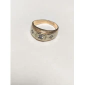 Ghiul din aur Proba 585* 5.87Gr