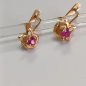 Cercei Din Aur Proba 585* 3.58 gr