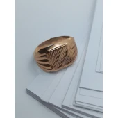 Ghiul Din Aur Proba 585* 2.88 gr